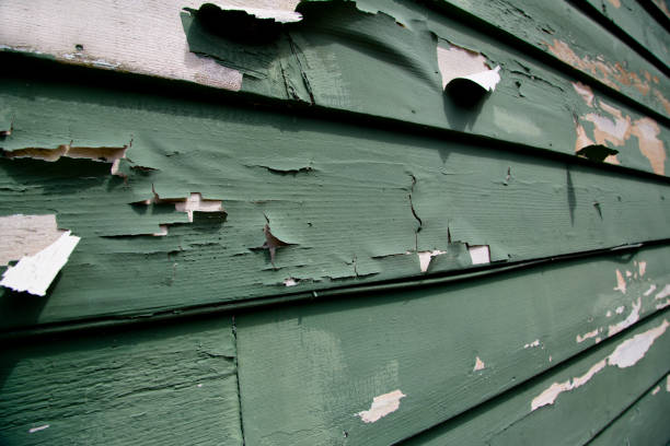 Best Residential Junk Removal  in Falling Water, TN